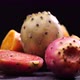Cactus Fig - VideoHive Item for Sale