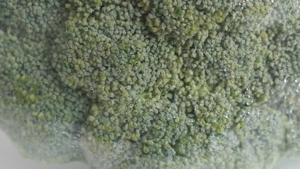 Floret of  green broccoli Brassica oleracea in cellophane  package close-up slow tilt footage alt
