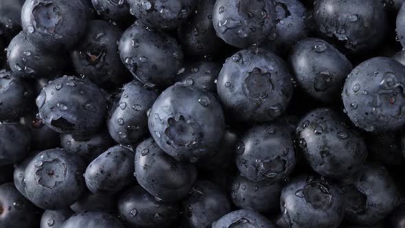 Fresh Blueberry Summer Fruits Background