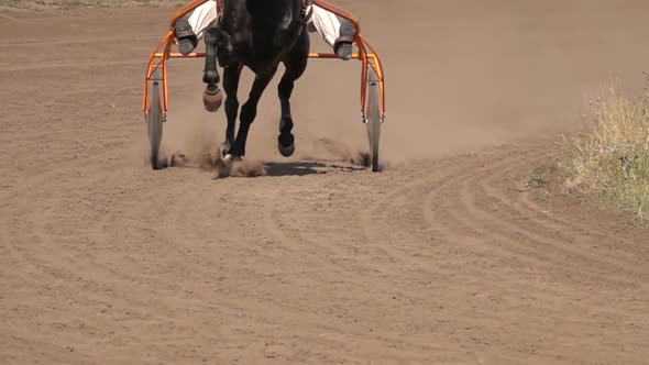 Horse Racing Of The Wagons alt