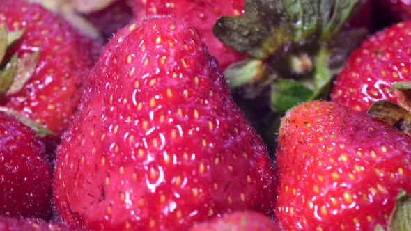 Beautiful Cultivated Deep Red Strawberries Strawberry Large Group Rotating Closeup alt