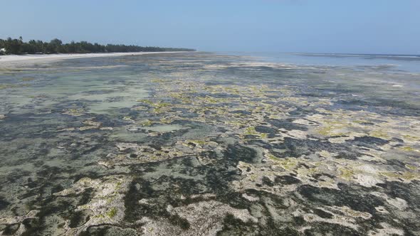 Shore of Zanzibar Island Tanzania at Low Tide Slow Motion alt