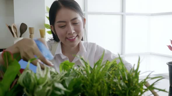 Asian woman enjoys planting trees while relaxing at home. alt
