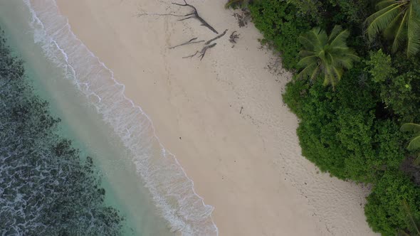 Aerial view of waves, sand, sea and forest Praslin Seychelles