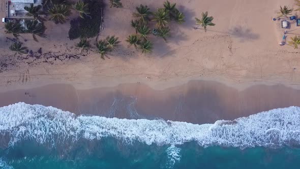 Waves In The Beach With Palms Tree In The Padise Caribbean With Drone 1080 60fps alt