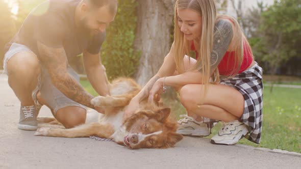 Close Up of Young Couple Petting Their Dog While Having a Walk in Park
