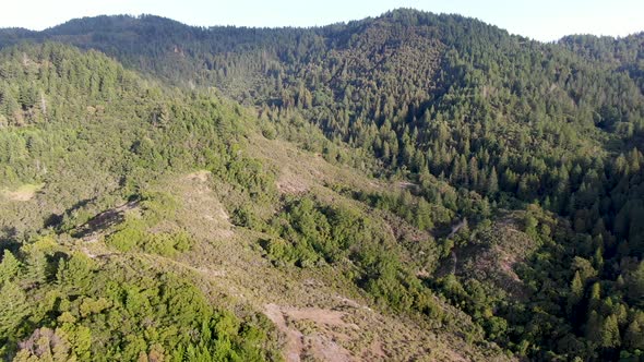 Aerial View of the Verdant Hills with Trees in Napa Valley During Summer Season.  alt