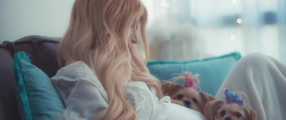 Beautiful pregnant woman cuddling with her small terrier twin puppies on a cozy couch at home.  alt
