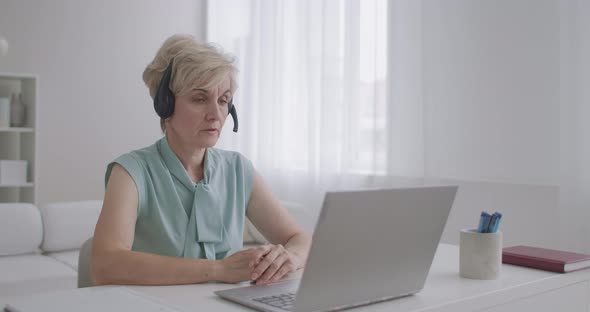 Experienced Online Consultant Woman Is Talking Online with Client By Video Chat at Laptop, Working alt