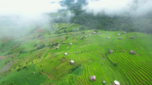 Aerial view of drones flying over rice terraces alt