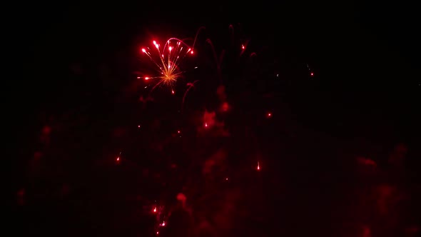 Colorful Fireworks Exploding in the Night Sky alt