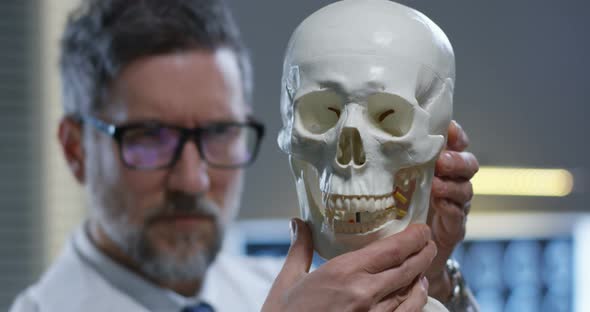 Jaw of Skull Being Adjusted By Doctor alt