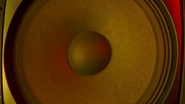 Large Round Bass Speaker Membrane Emitting Sounds and Vibrations Bouncing To the Rhythm alt