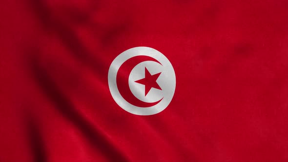 Tunisia Flag Waving in the Wind alt