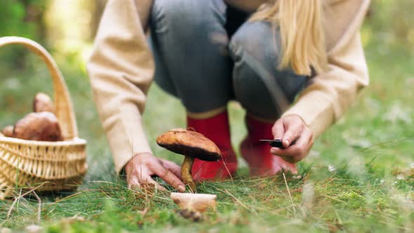 Young Woman Picking Mushrooms in Autumn Forest 16 alt