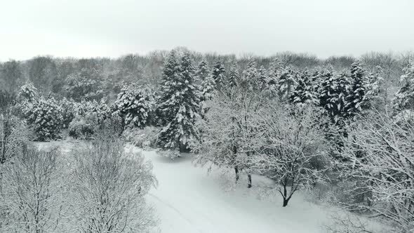 Aerial View of Snowy Winter Park alt