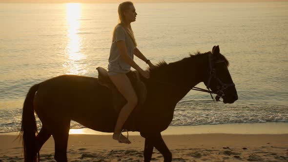 A Horse with a Rider Goes Along the Sea Coast
