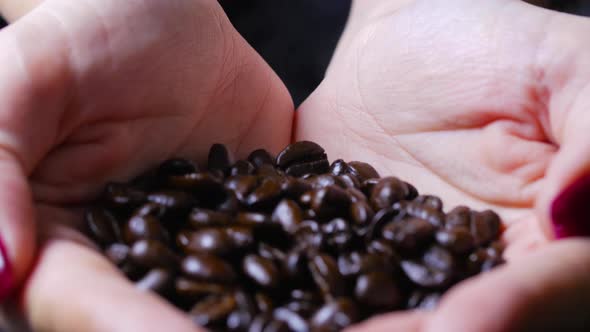 Female Hands Holding Brown Coffee Beans
