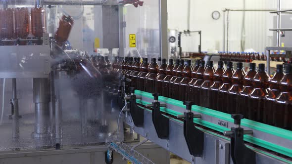 Beer In Brown Plastic Bottles On The Conveyor