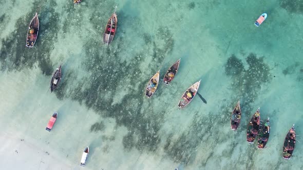 Tanzania Vertical Video  Boat Boats in the Ocean Near the Coast of Zanzibar Aerial View alt