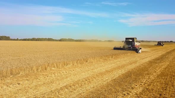 Harvesting Machine Working in the Field. Top View From the Drone Combine Harvester Agricultural alt