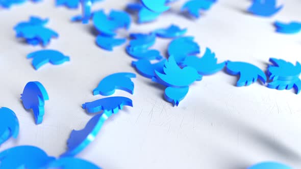 Twitter Logo Drop alt