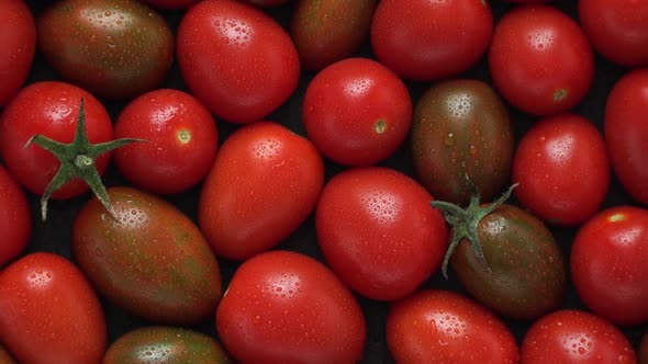 Top View of Fresh Red Tomato with Dewdrop Rotate in Circle