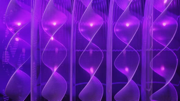 Purple color background alt