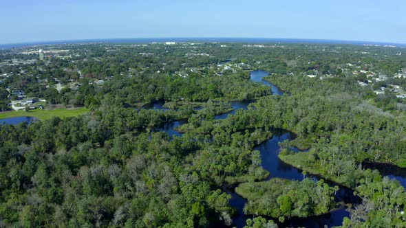 Aerial Pan of River Flowing Through Forest Near Small Town on the Golf of Mexico alt