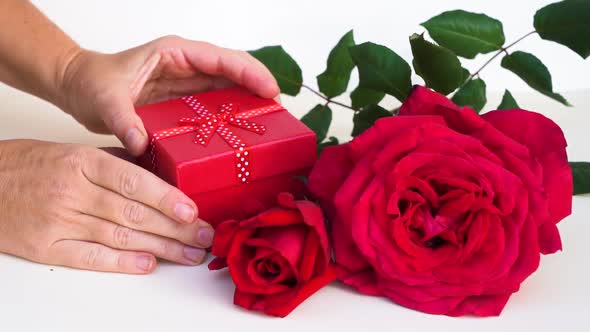 Dark Red Roses on Table alt