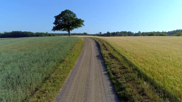 Flying Over Gravel Road on The Countryside