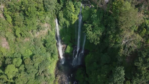 Aerial View of Waterfall in Green Rainforest
