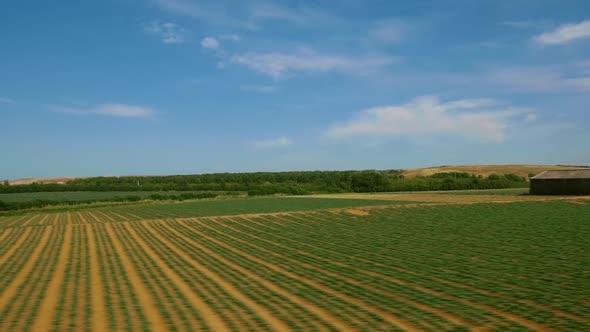 Amazing Cotswolds Landscape, England, UK alt
