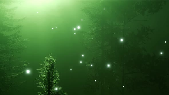 Magical Forest with Sparkles alt