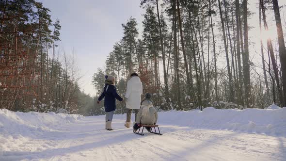 Woman with Children Go on a Snowy Road Through the Forest alt