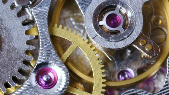 Watch Mechanism Close Up
