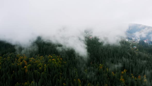 Aerial shot after Rainy Weather in Mountains. Misty Fog blowing over Pine tree Forest. alt