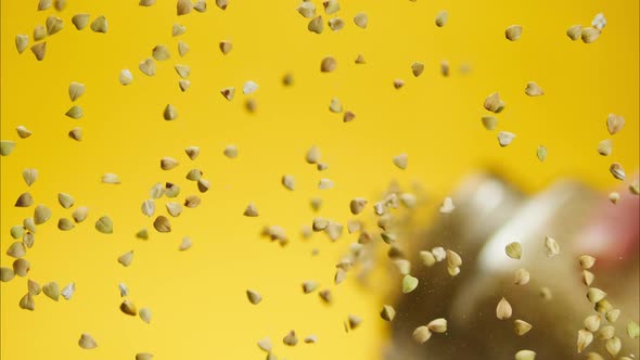 Closeup of Falling Down Green Buckwheat on Glass Table on Yellow Background alt