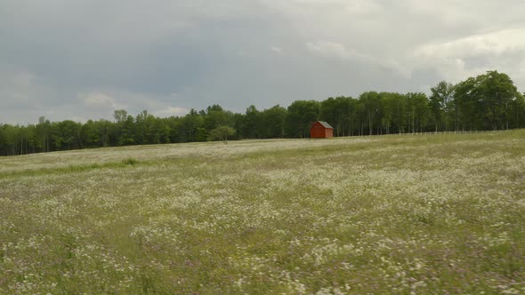 Aerial over wildflower fallow field, Smooth Orbit Shot alt