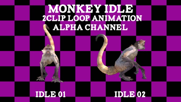 Monkey Idle 2 Clip Loop