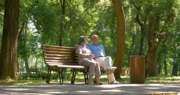 Senior Couple Relaxed Talking in Park