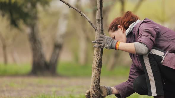 Female Farmer Recovering Tree Bark