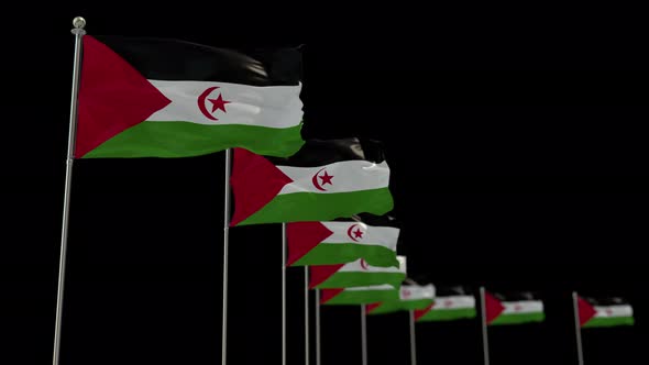 Western Sahara Row Flag With Alpha