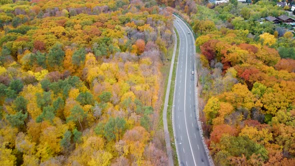 Aerial cars driving road in yellow autumn forest