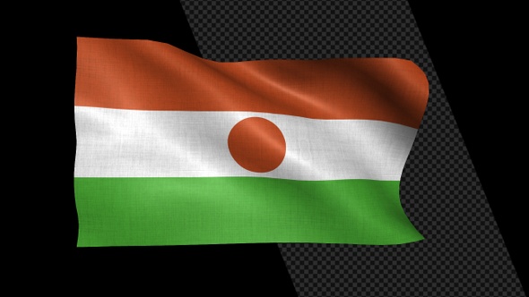 Niger Flag alt