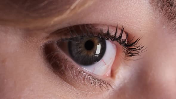 Eye Macro Close Up Blinking and Looking