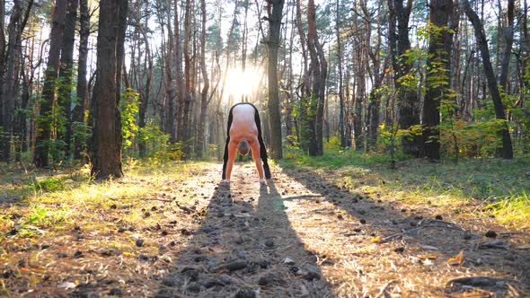 Muscular Man Doing Handstand in Forest at Beautiful Sunset Background alt