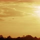 Plane Flies into the Sunset Sky - VideoHive Item for Sale