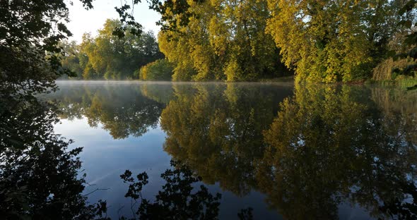 The pond Sainte Perine, Forest of Compiegne, Picardy, France. alt