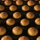 Fresh Biscuits Made in the Factory - VideoHive Item for Sale